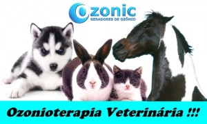 portalvilacarrao-ozonioterapia-veterinaria